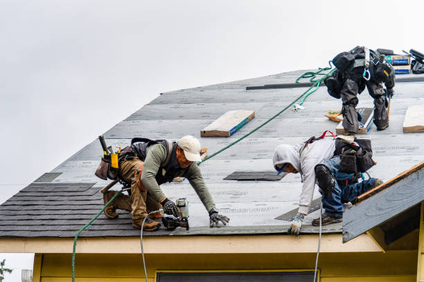 Professional Gutter Installation technician working in Brewster, WA